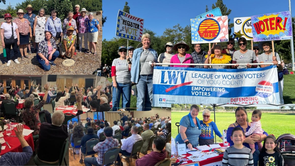 Collage of League members and public at various events