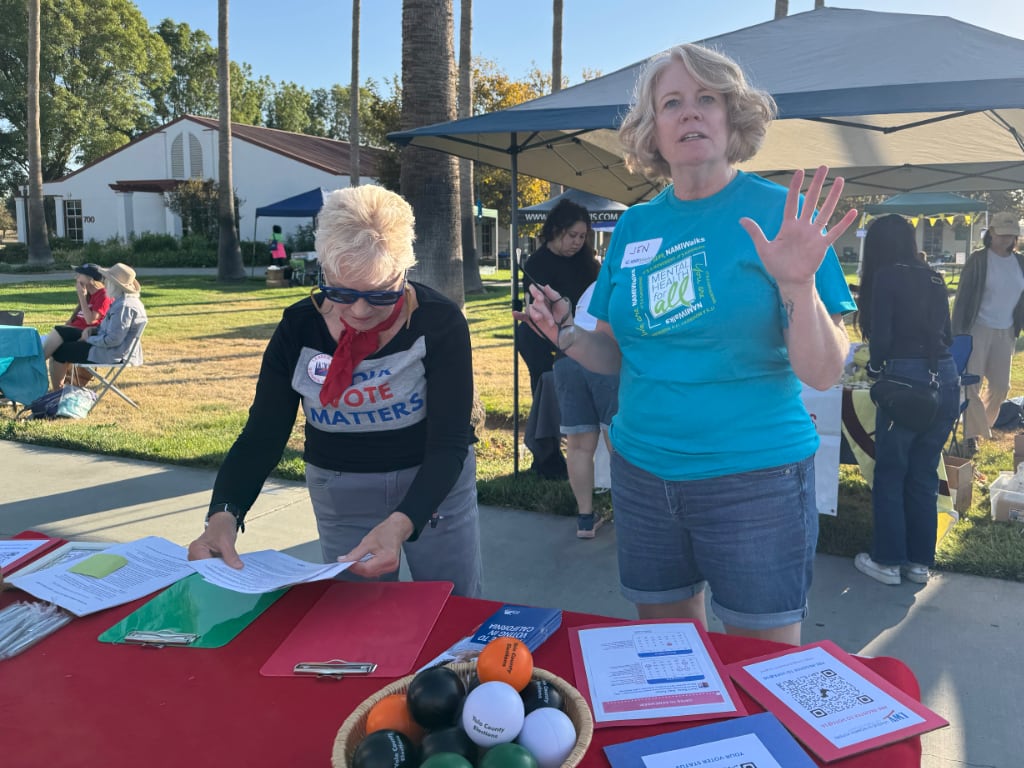 LWVYC at NAMI Walks 2025