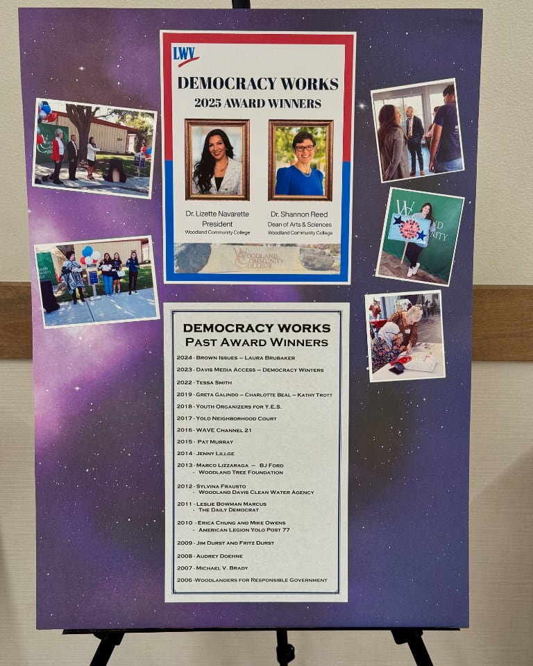 Poster displaying Democracy Works past activities and award winners
