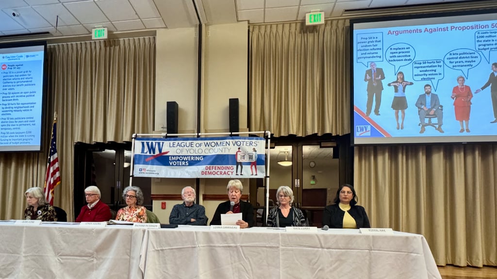 Seven people at a panel table with the LWVYC banner behind and large monitors on either side showing presentation